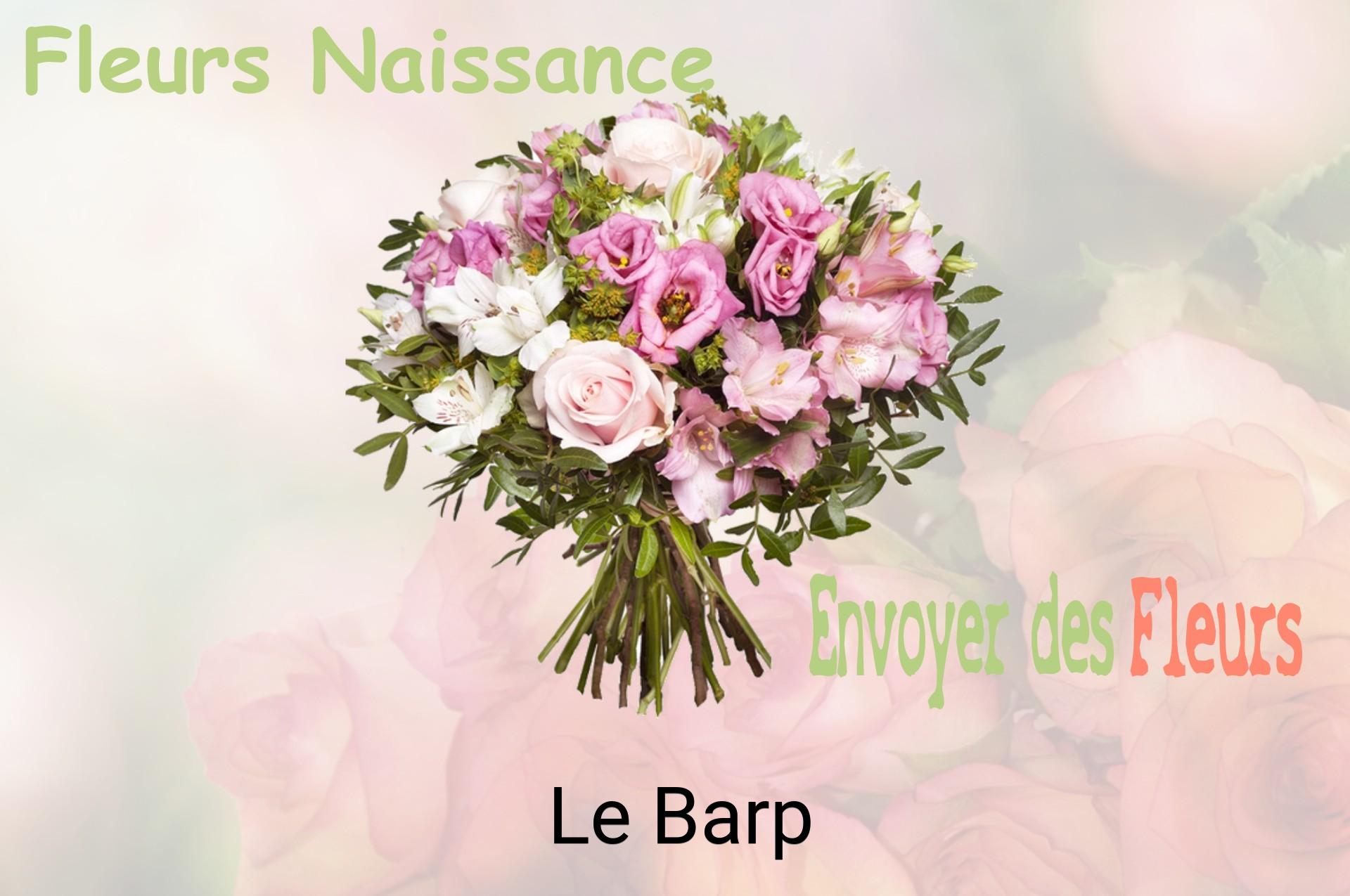 Bouquet de fleurs de naissance livré à Le Barp